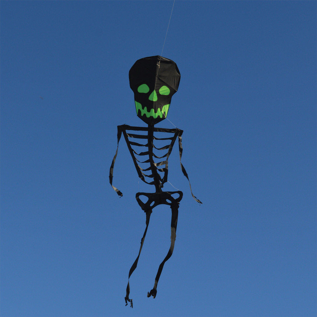 Skeleton Kite - 21ft Black and Green